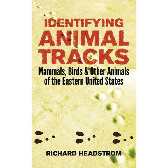 Identifying Animal Tracks : Mammals, Birds, and Other Animals of the Eastern United States (Paperback)