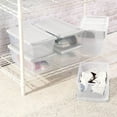 thumbnail image 6 of Sterilite 48-Pack 6 Quart Storage Box Clear Plastic Storage Organizer Bins with White Lids, 6 of 9