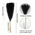 thumbnail image 2 of 20PCS Artificial Pampas Grass Decor – 21.65" Fluffy Bohemian Reed Stems for Wedding, Home, Vase Arrangement (Hypoallergenic, No Shedding), 2 of 5