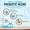 thumbnail image 6 of Nature's Physician Probiotics - 100 Billion CFU - 16 Strains + Prebiotics - Best Probiotic Supplement for Women & Men - Supports Immune, Digestive Health, Occasional Constipation & Gas - 30 Capsules, 6 of 9