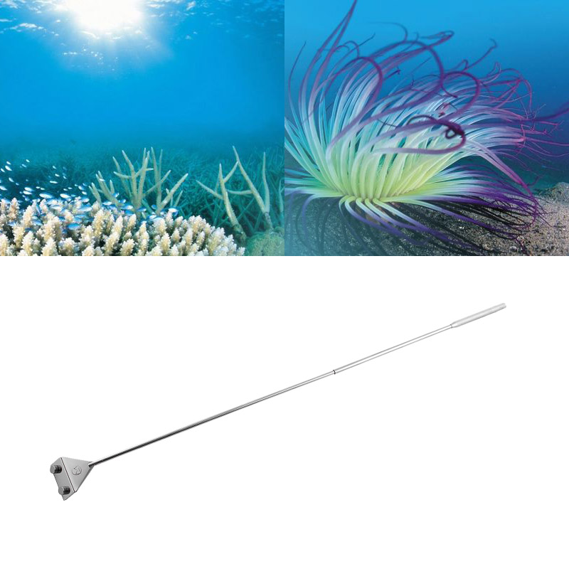 Algae Scraper Aquarium Glass Cleaner Stainless Steel Aquarium Tools 2