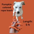 thumbnail image 3 of HAHDAXIA Pumpkin Colored Cotton Rope Leash for Dogs, Autumn Dog Leash, Orange Leash Dogs, Cute Dog Leash, Fall Dog Leash, Ombre Leash, Boho Chic Dog Leash, Handmade Rope Dog Leashes (Orange), 3 of 7