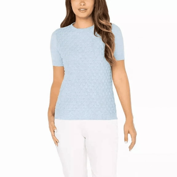 Well Worn Women's Pointelle Short Sleeve Sweater - (Blue, XL)