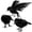 3PC, variant on Realistic Black Crow Figurine with Natural Feathers Halloween Bird Statues Plastic Desktop Ornament for Garden Party Haunted House Spooky Festive Atmosphere Decoration