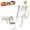 Skeleton and Dog, variant on Jollyzo 5pcs Halloween Skeleton Decorations, Mini Posable Skeletons Halloween Decor for Halloween Decorations Indoor Outdoor