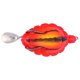 thumbnail image 5 of Cebos De Pesca Realistas, Señuelos De Pesca Cebo Negro 5 Piezas / Caja Accesorios De Aparejos De Pesca Para Agua Salada Para Entusiastas De La Pesca Para Agua Dulce, 5 of 8