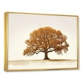 thumbnail image 2 of Designart "Earthy Oak Tree Essence I" Tree Oak Floater Framed Wall Art Prints, 2 of 5