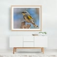 thumbnail image 5 of Yellow-Rumped Warbler - Photography Bird Wildlife Nature Animal Woodland Scenic Unframed Wall Art Print 8 x 10 inches, 5 of 6