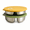 Apple Green + Mango Yellow, variant on 304 Stainless Steel Divided Plate with Airtight Lid, 3-Compartment Round Meal Prep Container for Portion Control and Freshness, Leak-Proof Food Tray for Office, 7.7" x 1.6", Brushed Silver