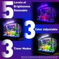 5 Gallon Fish Tank Glass Small Aquarium Starter Kits Self Cleaning with
