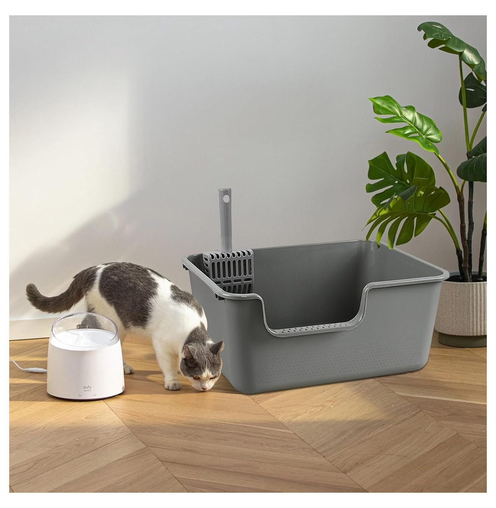4-Pack Plastic High Side Cat Litter Box, Large Open Litter Box, Gray, 19.69 x 15.24 x 8.46 Inches