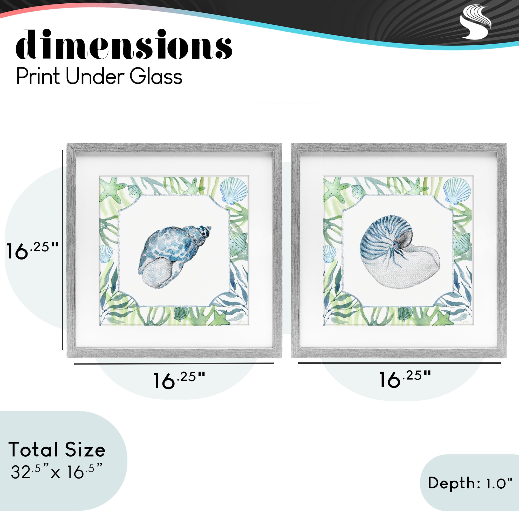 Stupell Industries Seaweed Bordered Seashells 2 Piece Gray Framed Print Under Glass Set, design by Janet Tava