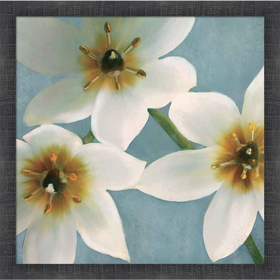 Great Art Now Lily Parfait I by Janel Pahl, Framed Wall Art, 17.5W x 17.5H