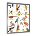 thumbnail image 2 of Designart 'Vital Colored Birds Plancard' Traditional Framed Art Print, 2 of 4