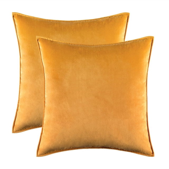 Cterwk - Juego de 2 fundas de cojín de terciopelo, suaves, lisas, decorativas, cuadradas, para sofá, dormitorio, sala de estar, 61 x 61 cm