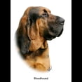 thumbnail image 3 of CafePress - Bloodhound 9Y404D 124 - Women's Dark Pajamas, 3 of 4