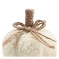 thumbnail image 3 of Way To Celebrate Sherpa Pumpkin Decoration, Diameter 3 inch, Cream colour, 3 of 4