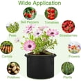 thumbnail image 5 of Paquete de 3 bolsas de cultivo de tela de 10 galones, bolsas de cultivo de plantas de jardín no tejidas gruesas con asas de nailon para jardinería y plantación, 5 of 5