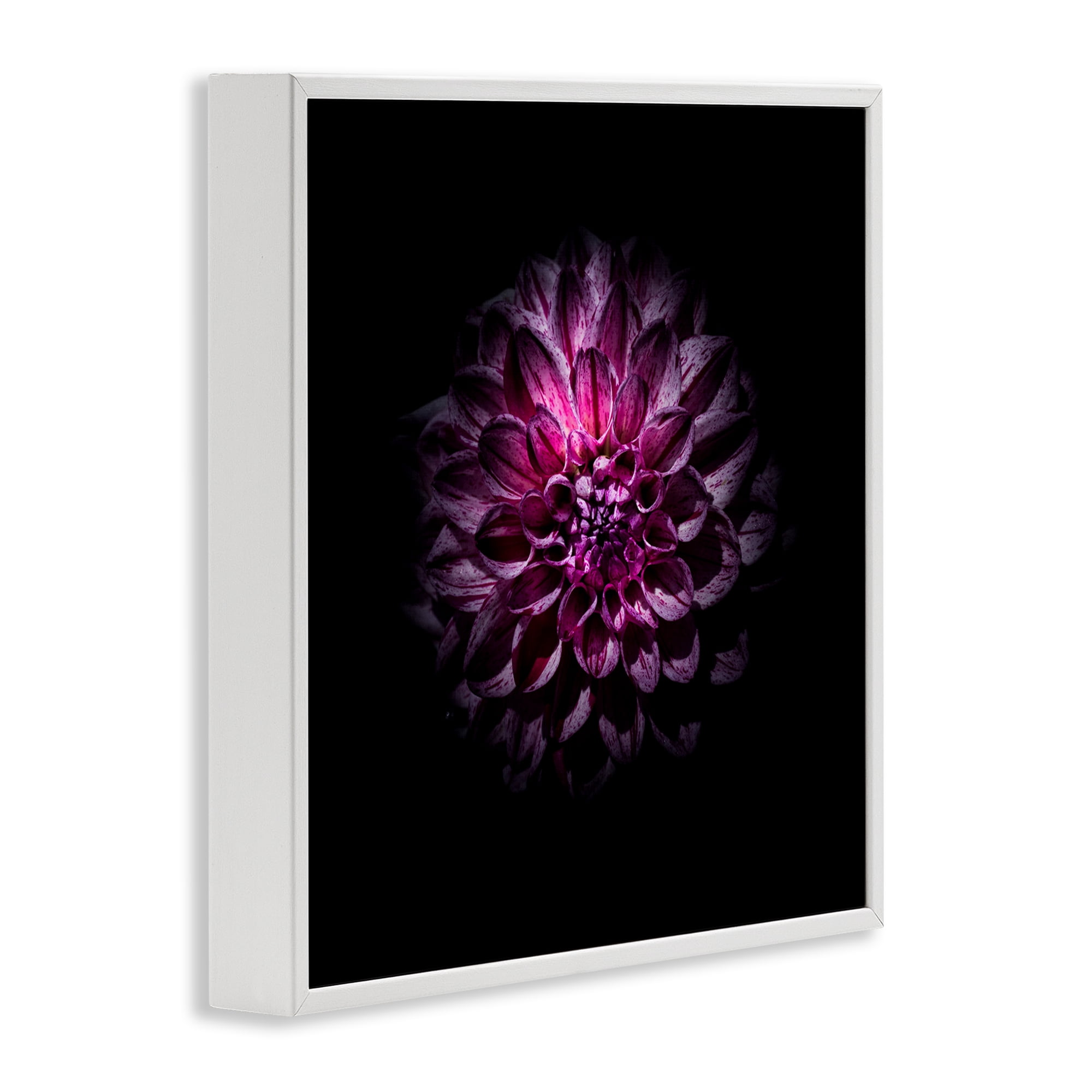 Purple Dahlia Dark Contemporary White Framed Giclee Art, design by Brian Carson Photography
