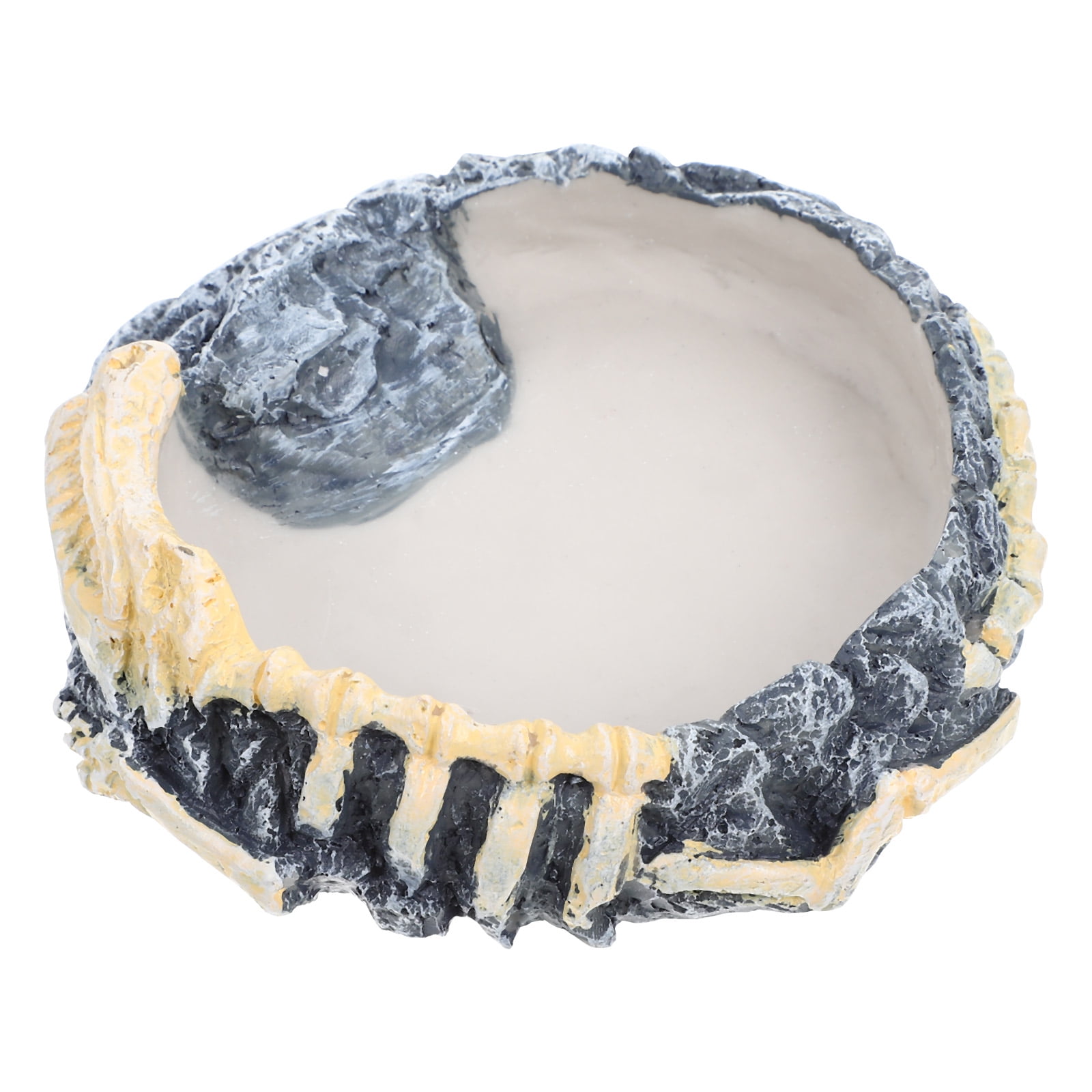 CTIRCHIU Resin Wear Resistant Reptile Water Bowl Stable Design Feeding Accessory 10#