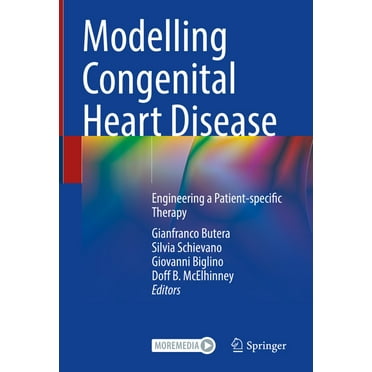 Modelling Congenital Heart Disease: Engineering a Patient-Specific Therapy (Hardcover)