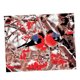 thumbnail image 1 of Kits de Pintura Sin Mc Números, Póster de Ped pa Decoración de Bricolaje de Oficina en Árbol de pájo BLESIY Cuadro de pintura al óleo, 1 of 6