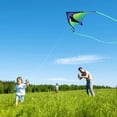 thumbnail image 3 of Hoofer Kite Flying Hoofer Delta grande de 152 x 76 cm, línea única, 3 of 8