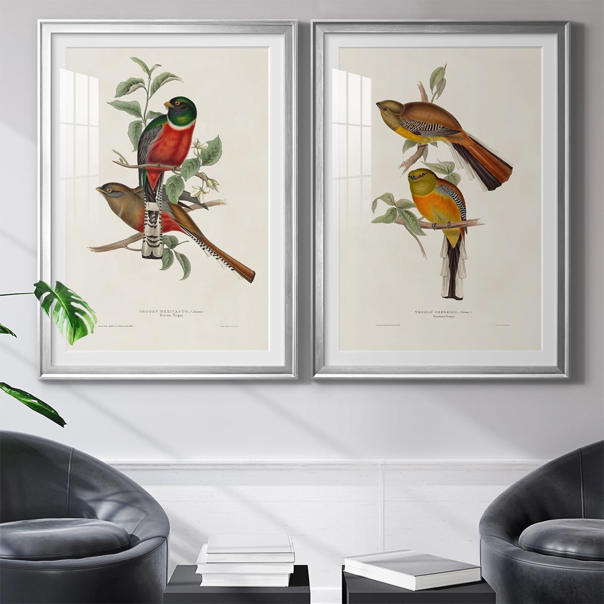 Wexford Home Elegant Trogons I Premium Framed Print, 30.5" x 42.5" - Ready to Hang, Silver (Set of 2)