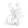 thumbnail image 2 of Augustine, Jodi 26x32 Gold Ornate Wood Framed with Double Matting Museum Art Print Titled - Bunny  Sketch Tulip, 2 of 4