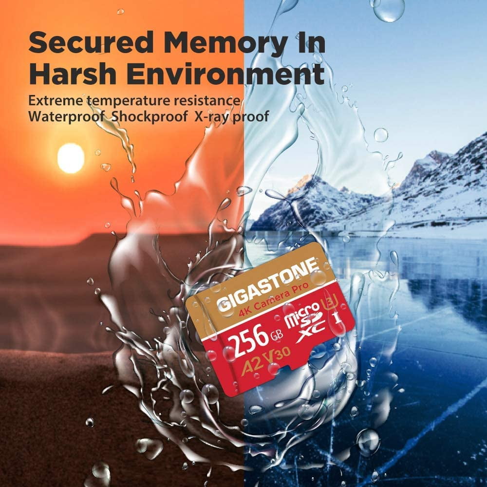 Gigastone 4K Class10 U3 A2 V30 Camera Pro MicroSDXC Card, 256GB GS-2IN1-4KA2V30-256GB-R
