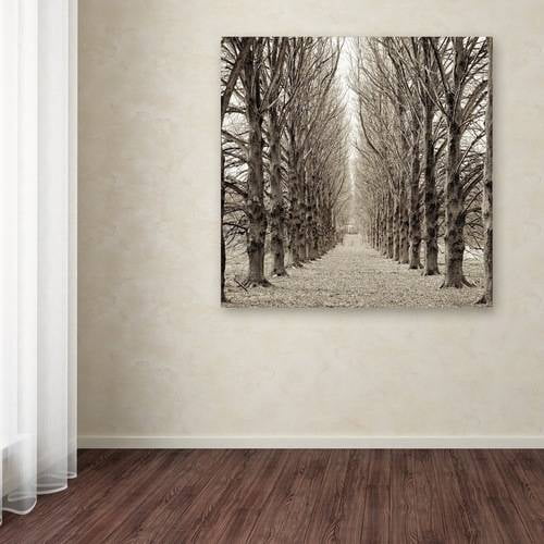 Trademark Fine Art "Hampton Gates Promenade III" Canvas Art by Alan Blaustein