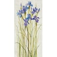 thumbnail image 2 of OToole, Tim 18x32 White Modern Wood Framed Museum Art Print Titled - Iris Patch I, 2 of 4