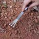 thumbnail image 5 of Rastrillo de bonsái Herramienta manual de doble cabeza de acero inoxidable | Rastrillo de aflojamiento de 3 puntas y cuchilla plana para recortar yemas de bonsái | Empuñadura ergonómica | Resistente, 5 of 7
