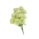 thumbnail image 1 of 10 Uds flores de plástico Taraxacum Injueey decoración del hogar blanco, 1 of 6