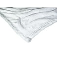thumbnail image 3 of Looney Tunes Decorating Together Kids Silk Touch Throw Blanket, 3 of 4