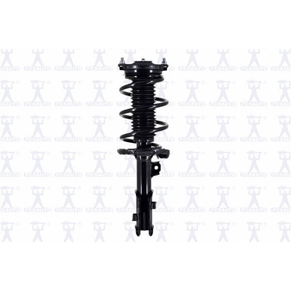 Suspension Strut and Coil Spring Assembly