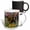 Multicolor, variant on 3drose, Usa, Washington State, Sammamish. Cinnias and Canna Lily in Garden., 11oz Magic Transforming Mug