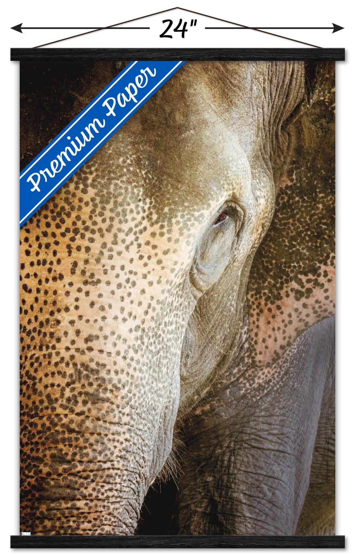 Beth Sheridan - Indian Elephant Wall Poster with Wooden Magnetic Frame, 22.375" x 34"