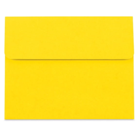 Star Products Student Art Folio - Yellow, 9-1/2" x 11-3/4"