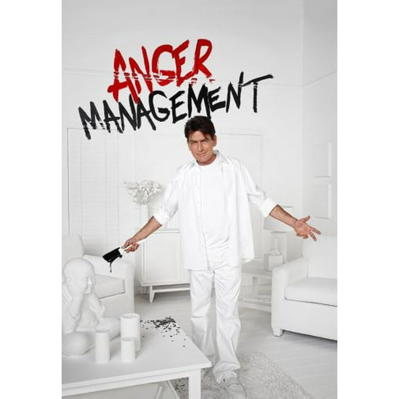 Anger Management Charlie Sheen Poster 27Inx40In for any room 27x40 Square Adults Best Posters