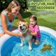 thumbnail image 5 of Absorbedor de Impurezas para Jacuzzi Peloni Pack de 2 Golden Cross, 5 of 8