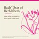 thumbnail image 3 of Esencia floral Bach Original Star of Bethlehem, 20 ml, 3 of 6
