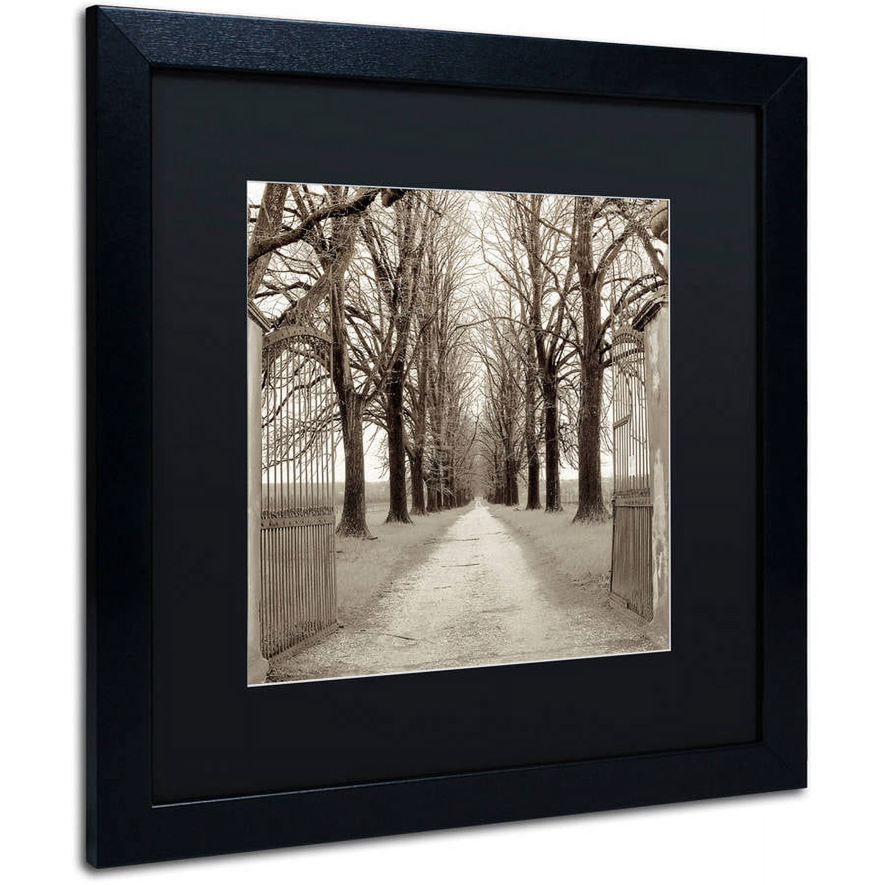 Trademark Fine Art "Veneto Giardini I" Canvas Art by Alan Blaustein, Black Matte, Black Frame