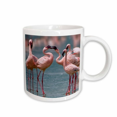 

Lesser flamingos competing for a female Lake Nakuru NP Kenya. 15oz Mug mug-206811-2