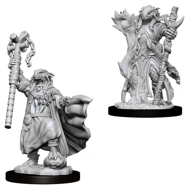 d&d sorcerer miniature