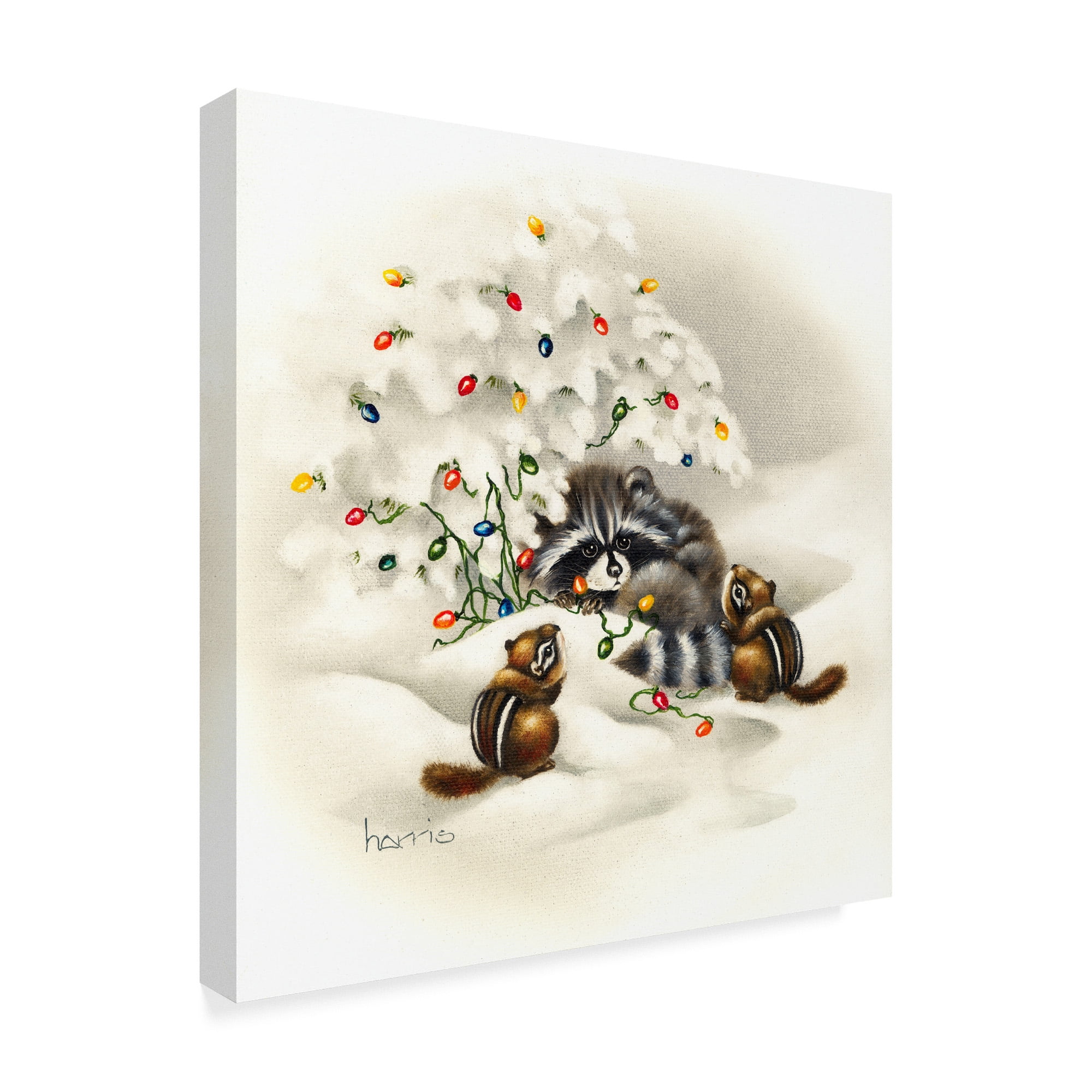 Trademark Fine Art Animals Canvas Art ' Raccoon Christmas Lights ' by Peggy Harris