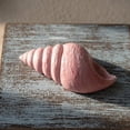 thumbnail image 7 of Beach Wall Art, Handcrafted Wood Seashell Starfish Hanging Decor, Nautical Mediterranean Wall Accent, Seaside Rustic Wall Ornaments for Vacation Rental, Bathroom, Coastal Living Space Layout, 7 of 7