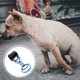 thumbnail image 3 of Pet Poop Scoop Portable Long Handle Poop Shovel Dogs Waste Pickup Easy to Use Pooper Scooper Outdoor Cleaning Tool (Black Blue), 3 of 5