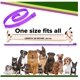 thumbnail image 3 of Tratamiento antipulgas para perros, collar antipulgas para perros, collar antipulgas ajustable para perros, protección contra garrapatas de 8 meses para cachorros, collar antipiojos y garrapatas Sincero Electrónica, 3 of 4