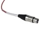 thumbnail image 4 of Divisor XLR Snake Cable PRORECK de 8 canales, 30 m de largo, 4 of 8